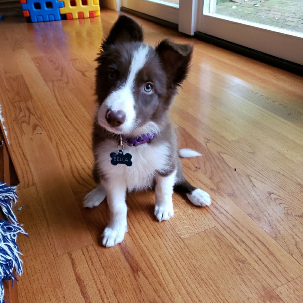 Meet your Posher, Sonya